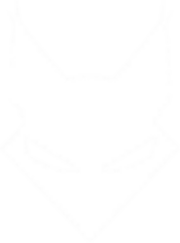 Team Lynx