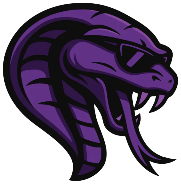 Team Cobra